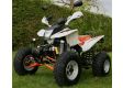 moto BASHAN CATBRIER