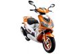 moto LINTEX FEVER