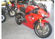 moto TRIUMPH DAYTONA TRIPLE 675