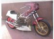 moto MARTIN ORIGINAL