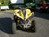 quad Cam Am RENEGADE