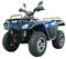 quad FH 300 4X4 PLUS