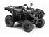 quad Yamaha occasion GRIZZLY EPS