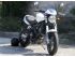 moto MOTO MORINI SPORT