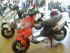 scooter  FOCUS