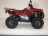 quad Sym QUADRAIDER
