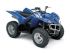 quad Yamaha occasion WOLVERINE HOMOLOGUE QUAD