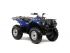 quad Yamaha occasion YFM GRIZZLY
