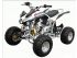 quad  PANTHERA