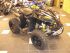 quad Cam Am RENEGADE X