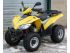 quad Sym TRACK RUNNER QUAD