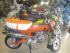moto SKY TEAM DINGO DAX REPLICA
