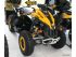 quad Cam Am RENEGADE RX