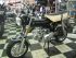 moto HONDA DAX SPIGAOU EVOLUTION S