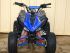quad  PANTHERA