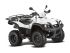 quad TGB BLADE R AVENGER 4X2
