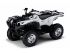 quad Yamaha occasion GRIZZLY EPS QUAD HOMOLOGUE