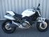moto DUCATI MONSTER