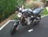 moto SUZUKI GSF BANDIT N