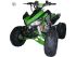quad  PANTHERA