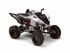 quad Yamaha occasion RAPTOR 700 MODEL 2010 TRIBAL HOM ROUTE PAOLETTI RACI