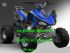 moto ATV MOTOR PANTHERA