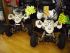 quad Lem QUAD ENFANT LEM 50CC