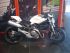 moto DUCATI MONSTER