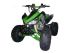 moto ATV MOTOR PANTHERA