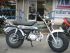 moto SKY TEAM T REX VAN VAN REPLICA
