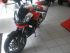 moto APRILIA RSV TUONO