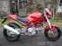 moto DUCATI MONSTER DS