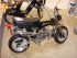 moto SKY TEAM DINGO DAX REPLICA