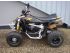 quad Cam Am DSX