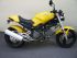 moto DUCATI MONSTER