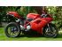 moto DUCATI SUPERBIKE