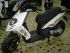 scooter Piaggio occasion TYPHOON