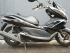 scooter Honda occasion PCX