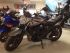 moto SUZUKI GSF BANDIT N