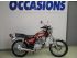 moto SUZUKI GN