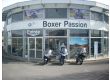 Logo Boxer Passion