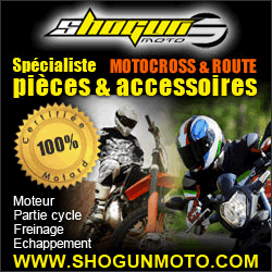 shogun
